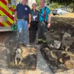 SSCFPD Dogs Rescued