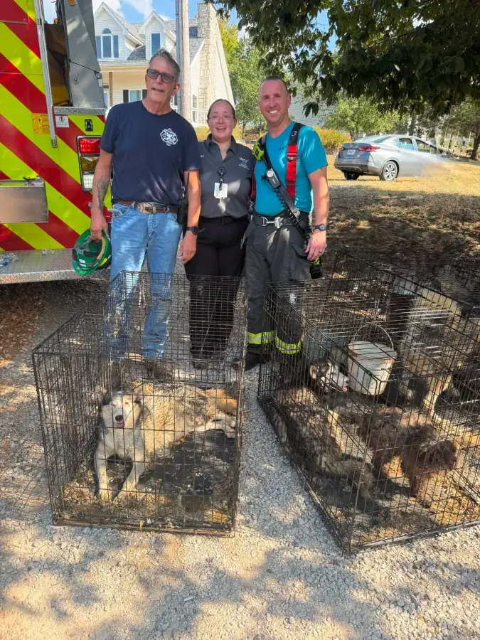 SSCFPD Dogs Rescued